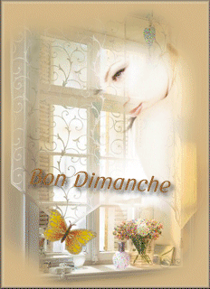 Gif Bon dimanche papillon femme